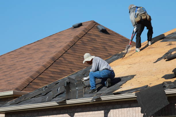 Best Roof Coating and Sealing  in Rafter J Ranch, WY